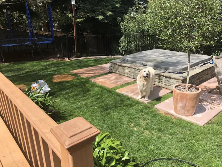 Stone pads across a lawn