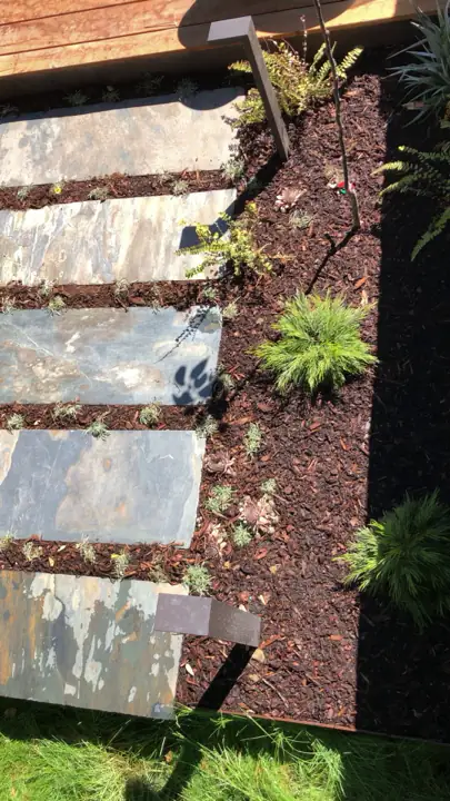 Stone planks from above, just planted