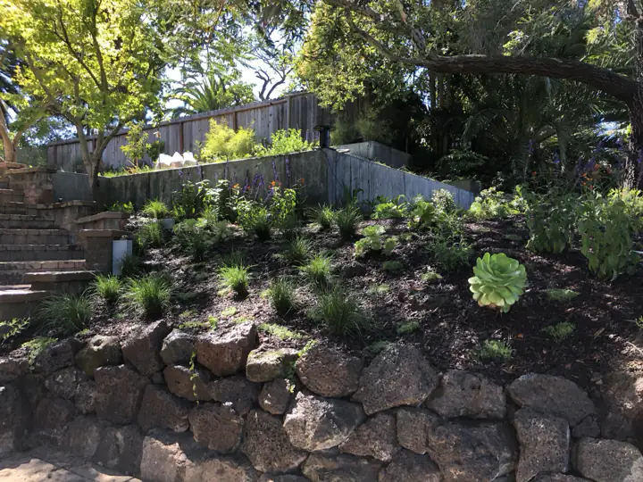 Stone retaining wall at the foot of a newly planted slope