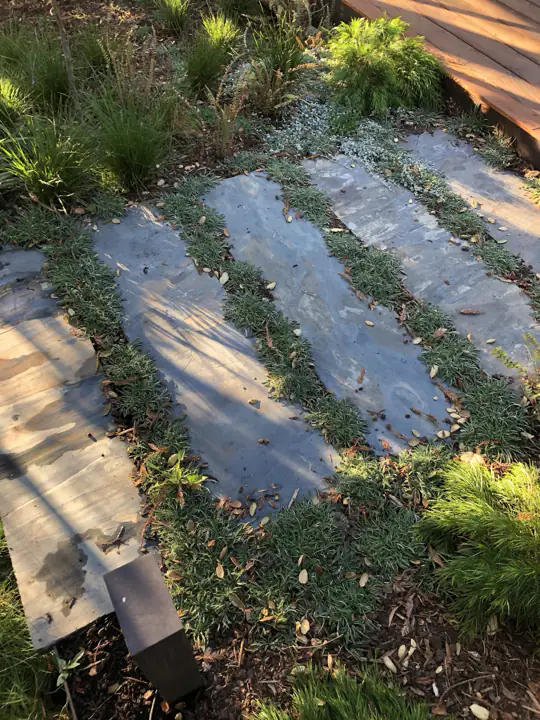 Stone planks set in groundcover, stepping down from a deck