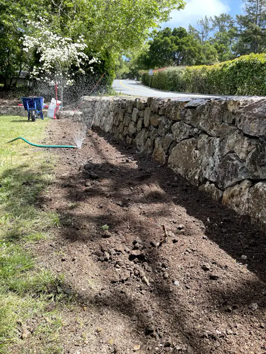 Fieldstone wall along a road, the ground in front of it prepared for planting