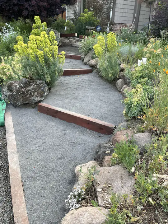 Gravel path with timber steps, climbing between boulders and spring planting